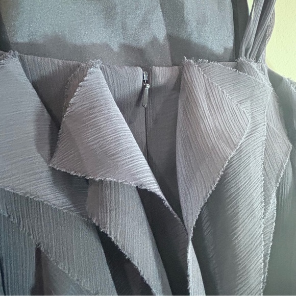 WHITE BY VERA WANG Sz 8 Vertical Ruffles Sheer Lined Knee Length Dress NEW - Picture 8 of 11